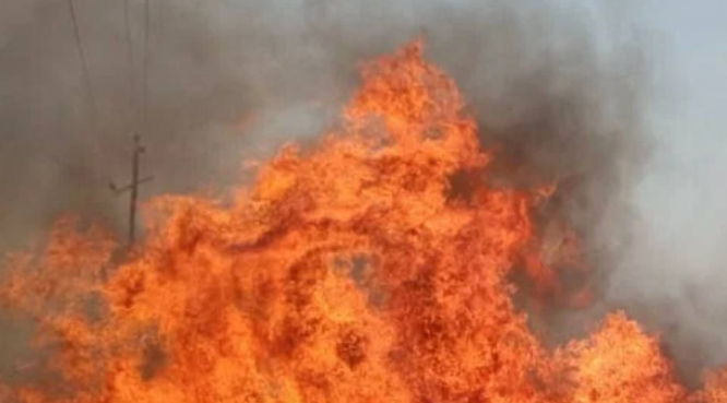 नरेला औद्योगिक क्षेत्र में दो फैक्ट्रियों में भीषण आग, 16 दमकल गाड़ियों ने पाया काबू; सिलेंडर ब्लास्ट में महिला की मौत