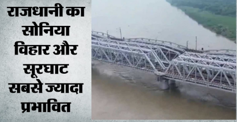 चौंकाने वाला खुलासा: यमुना की हर मछली में मिला माइक्रोप्लास्टिक, मानव स्वास्थ्य पर भी खतरे की आशंका