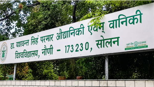 नौणी विश्वविद्यालय ने घटाई फीस: छात्रों को बड़ी राहत, यूजी-पीजी कोर्स 37 हजार रुपये तक हुए सस्ते