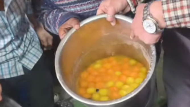 शिमला में मिठाइयों में मिले मरे हुए कॉकरोच, खाद्य सुरक्षा विभाग की कार्रवाई; 4 दुकानदारों को नोटिस