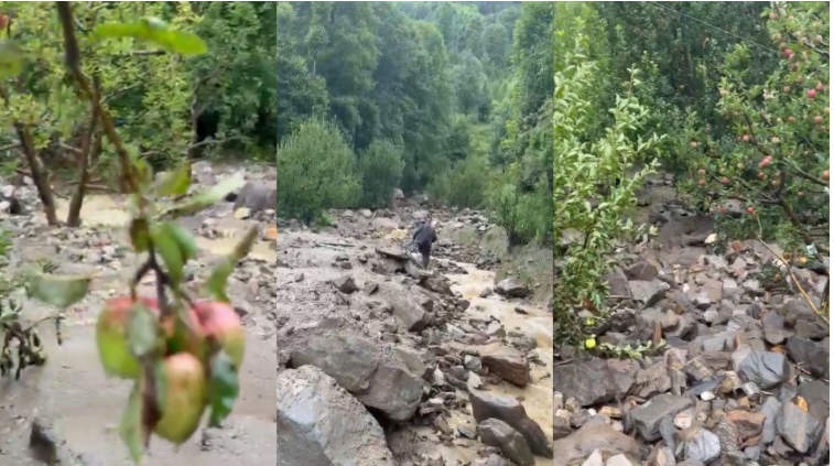 मनाली में बादल फटने से तबाही: शिलिंग नाले का बदला रुख, 100 से ज्यादा सेब के पेड़ बहे