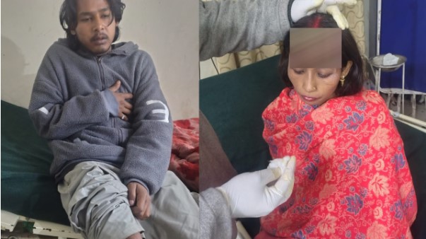 ज्योतिर्मठ में भालू का हमला, गाय को मार डाला; बचाने पहुंचे चार लोग घायल