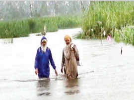 रावी और उज्ज नदियों में उफान, गुरदासपुर सीमावर्ती गांवों में बढ़ा बाढ़ का खतरा भारतेंदु संवाददाता, गुरदासपुर